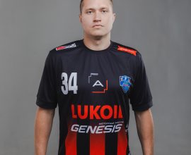 Дмитрий Шелестюков
